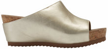 Tiegan: New Gold Mestico RESTOCKED