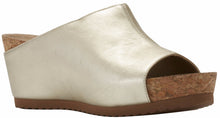 Tiegan: New Gold Mestico RESTOCKED