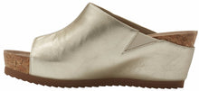 Tiegan: New Gold Mestico RESTOCKED
