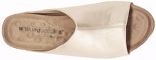 Tiegan: New Gold Mestico RESTOCKED